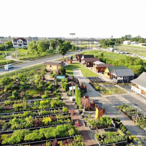 created by dji camera